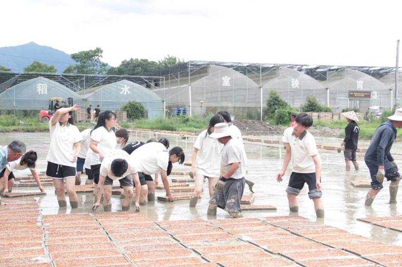一群小孩正在玩耍 AI 生成的内容可能不正确。 一群小孩正在玩耍 AI 生成的内容可能不正确。