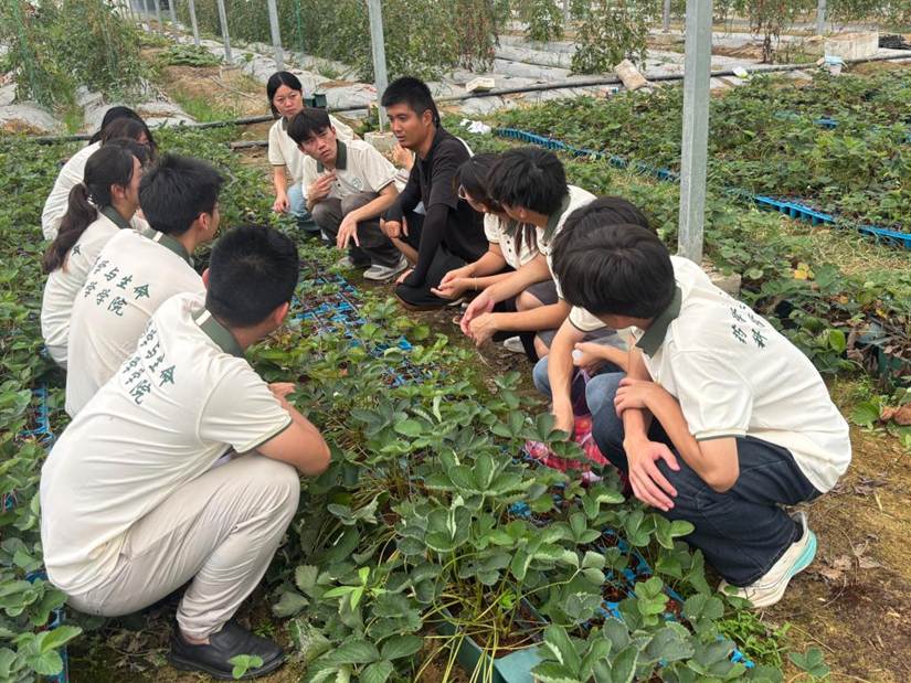 一群人在草地上 AI 生成的内容可能不正确。 一群人在草地上 AI 生成的内容可能不正确。
